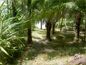 Fazenda Alambique