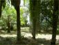 &Aacute;rea pr&oacute;xima a praia